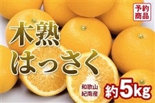 �؏n�͂����� ��5kg�i15�`17�ʓ���j��3�����{��菇��������(�I��)