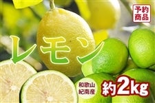 a̎RY  2kg <11{`>(I)