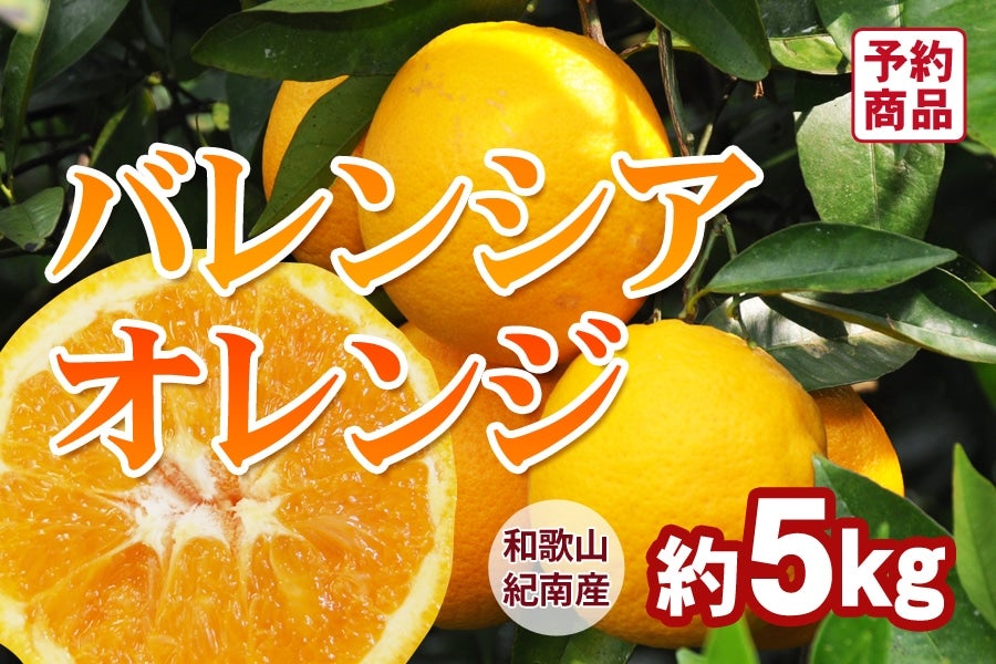 a̎RY@oVAIWi36ʓj 5kg(I)