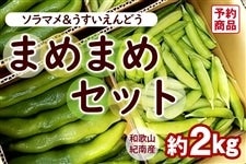 �܂߂܂߃Z�b�g  �\���}�����I�B�������i����������ǂ��j�@���v��2kg��4�����{��菇��������(�I��)