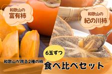 柿食べ比べ!和歌山の富有柿6玉&紀の川柿6玉(11月中旬以降発送)