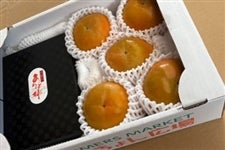柿食べ比べ!和歌山の富有柿5玉&あんぽ柿 (ココ・カラ。和歌山マルシェ)