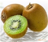 �L�E�C�t���[�c�i��ʁj20�`24��