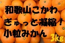 �a�̎R������@��������������ƋÏk�I�����݂��� 3�s