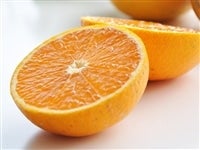 ����݁y���ƒ�p�z��4�s