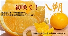 初咲く!八朔約4s むっきーちゃん付き【数量限定】