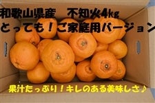 �s�m�΁y�Ƃ��Ă��I���ƒ�p�z��4�s�i�R�R�E�J���B�a�̎R�j