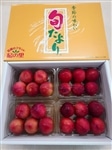 ���n��΁i5�ʁ`6�ʁj×4P ���ϔ�����@�y���ʌ���z