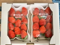 �y��A���z���c���񂿂́g�܂�Ђ߁h�C�`�S�@�󂠂�F�s�����i10���`13���j300��×2�p�b�N�y�������z�y䕁z