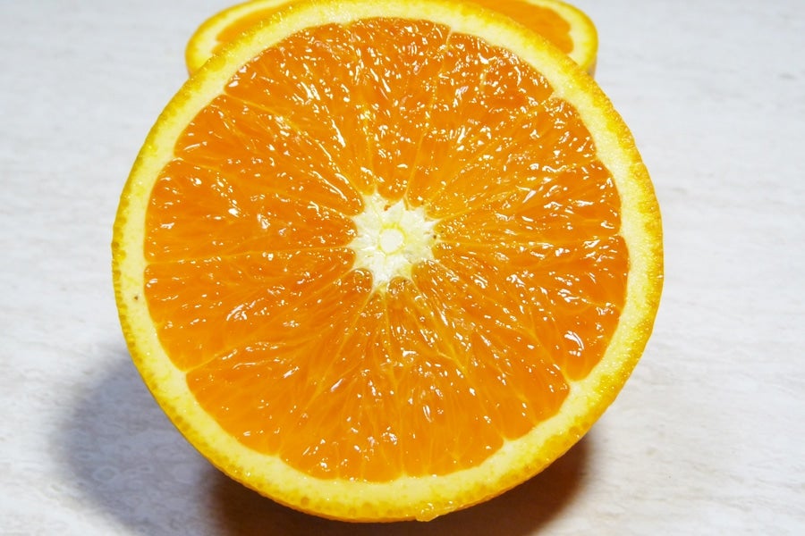 Grandmother 123073 オレンジ 7インチ　A#-5 STUDIO SEVEN x MIYOSHI RUG Entrance Rug 7 Ball | STUDIO SEVEN