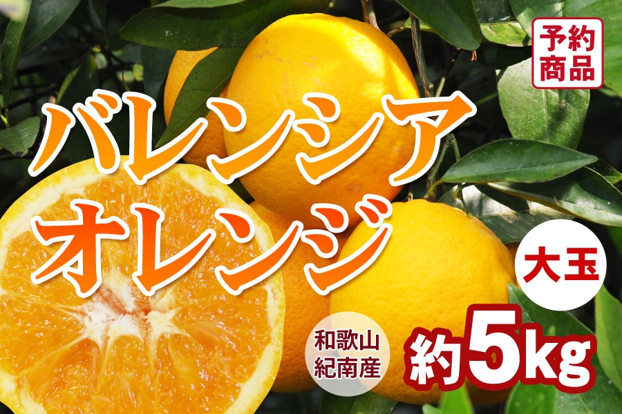 和歌山県産 バレンシアオレンジ（26玉入り） 約5kg ＜7月上旬より順次