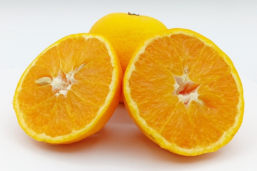 5610-70mikan-