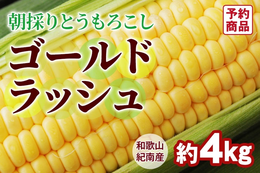 朝採りとうもろこし「ゴールドラッシュ」 4㎏(10~12本)<6月中旬 朝採りとうもろこし「ゴールドラッシュ」 4㎏(10~12本)<6月中旬