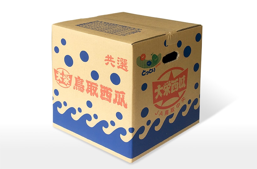 鳥取県産 大栄西瓜 「特サイズ」・1玉（約11kg）: 全農とっとり JA