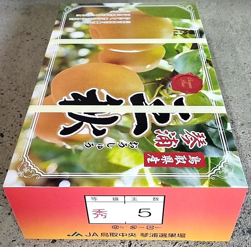 【お歳暮】鳥取県産 王秋梨 (おうしゅう)3.5kg