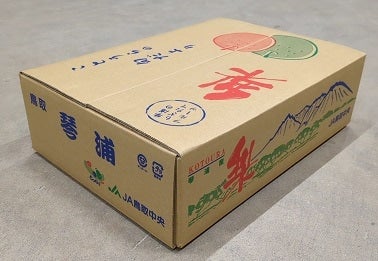 鳥取県産 王秋梨(おうしゅう)5kg