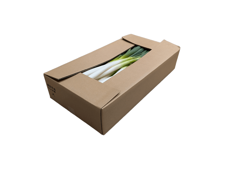 【直売所間連携】鳥取県産 「加工用」白ねぎ 5s