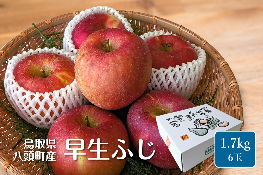 鳥取県八頭町産 「早生ふじ」りんご