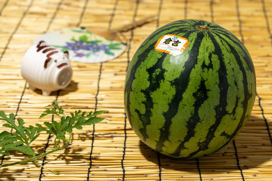 スイカ__大栄スイカ_3L_202405_