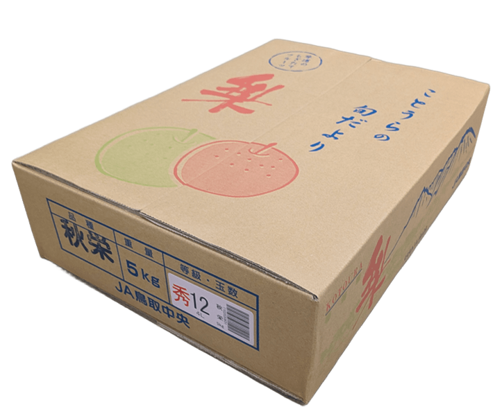 鳥取県産 秋栄（あきばえなし）梨 5kg: 全農とっとり JAタウン店