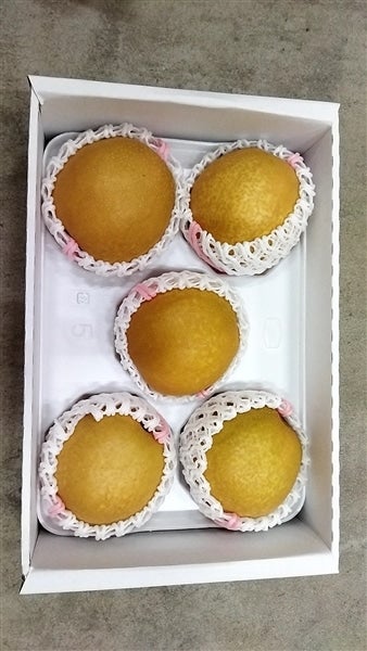 鳥取県産 王秋梨(おうしゅうなし)3.5kg(5〜6玉)