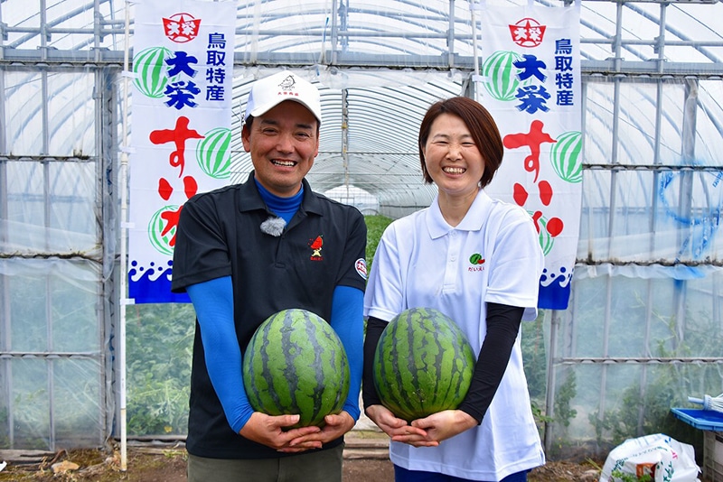 お中元】鳥取県産 大栄西瓜 「特サイズ」・1玉（約11kg）: 全農とっ