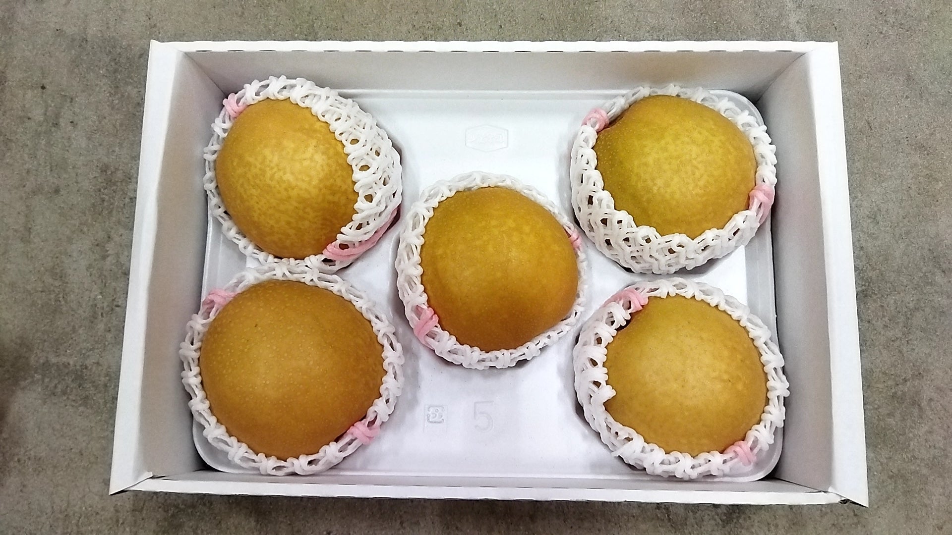 【お歳暮】鳥取県産 王秋梨 (おうしゅう)3.5kg