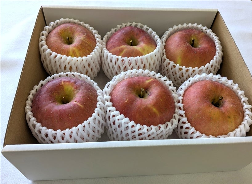 鳥取県八頭町産 「早生ふじ」りんご