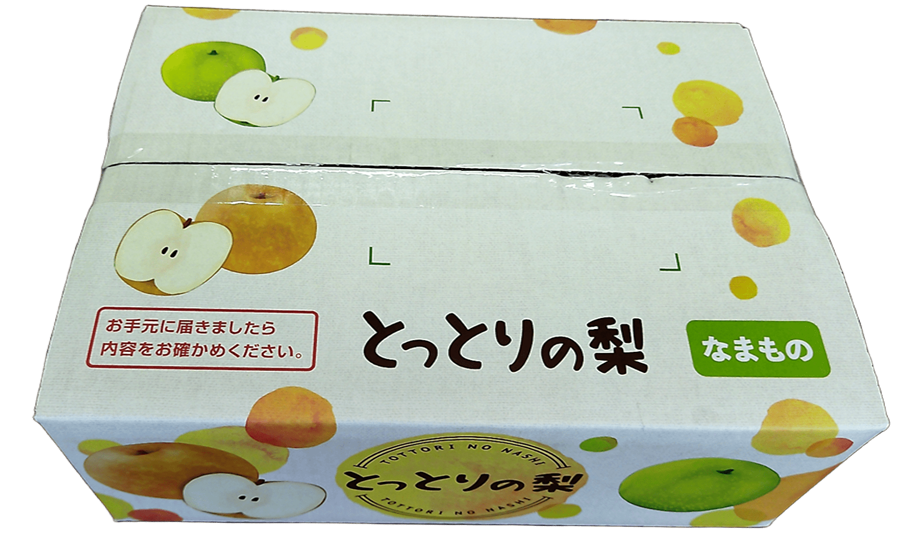 鳥取県産梨 なつひめ 約3kg（ご自宅用）: 全農とっとり JAタウン店
