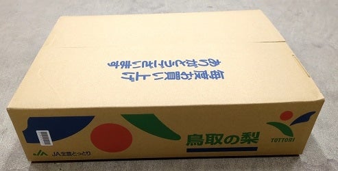鳥取県産 王秋梨(おうしゅう)5kg