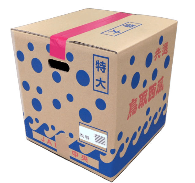 鳥取県 大玉 倉吉スイカ 特・1玉（約11kg）: 全農とっとり JAタウン店