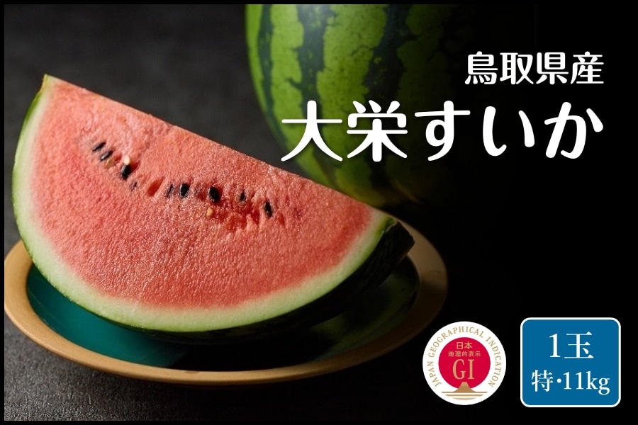 巨大桶2　商品説明必読ください。 鳥取県産 大栄西瓜 「特サイズ」・1玉（約11kg）: 全農とっとり JA