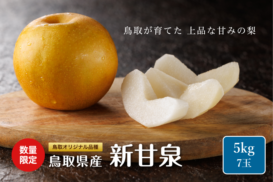 数量限定】新甘泉（しんかんせん）5kg（超大玉7玉入）: 全農とっとり