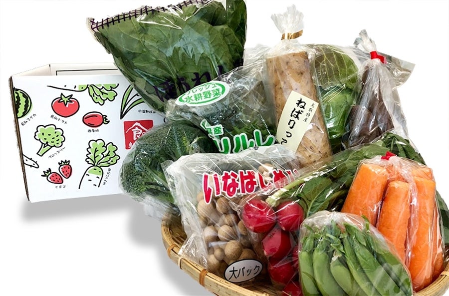 産地直送 通販 お取り寄せ鳥取県直売所わったいなの 季節の野菜ボックス 旬の野菜10種類前後 冷蔵 全農とっとりアグリマーケット ｊａタウン