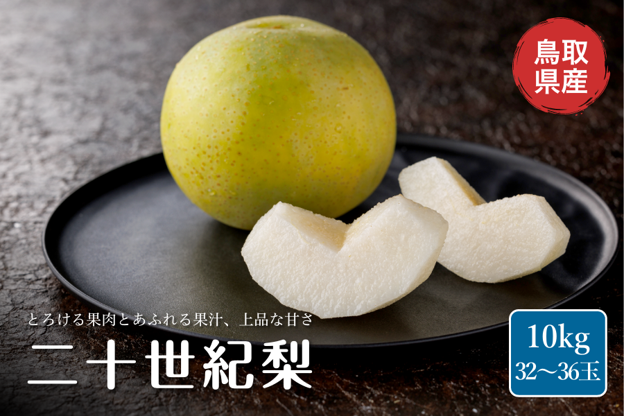 鳥取県産 二十世紀梨 10kg (32～36玉)【冷蔵貯蔵品】: 全農とっとり JA