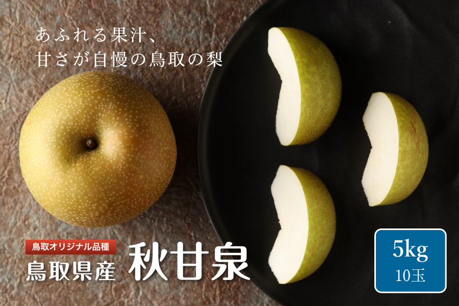 秋甘泉（あきかんせん）梨 5kg（10玉）【冷蔵貯蔵品】: 全農とっとり