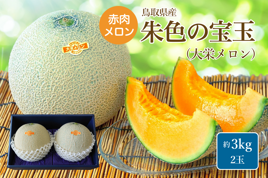 朱色の宝玉（大栄メロン）: 全農とっとり JAタウン店|【JAタウン