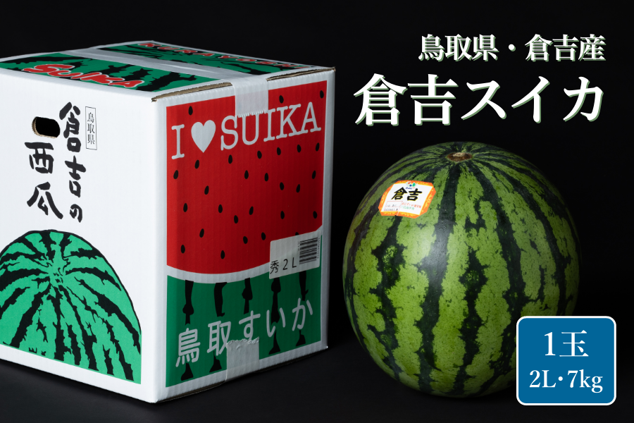 鳥取県 大玉 倉吉スイカ 2L・1玉（約7kg）: 全農とっとり JA