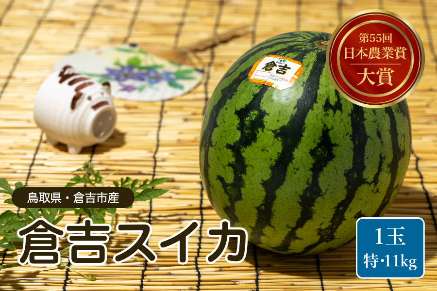 24時間以内に売れなければ300円！スイカ大✨手作り額付き作品　「タマの休日」 鳥取県 大玉 倉吉スイカ 特・1玉（約11kg）: 全農とっとり JAタウン店