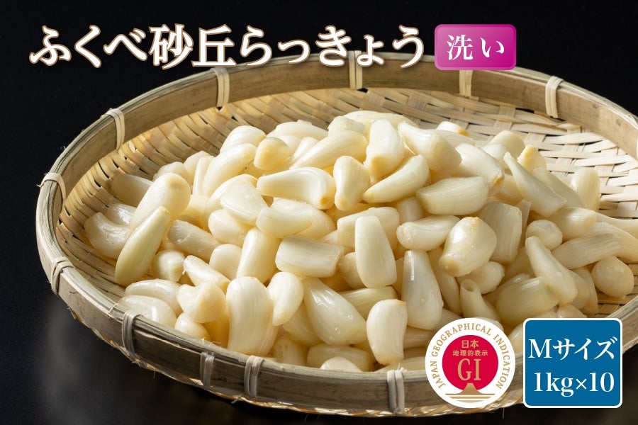 【冷蔵発送】ふくべ砂丘らっきょう(洗い)Mサイズ10kg