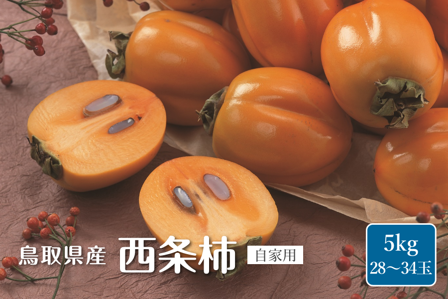 鳥取県産 西条柿（さいじょうがき）自家用 5kg: 全農とっとり JAタウン