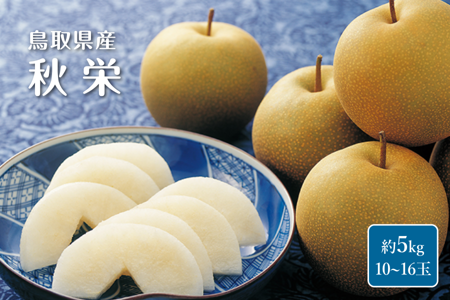 鳥取県産 秋栄（あきばえなし）梨 5kg: 全農とっとり JAタウン店