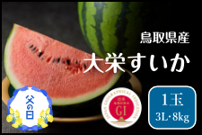 y̓z 挧Y hZ 3LE1ʁi8kgjibZ[WJ[hj
