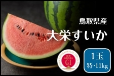 鳥取県産 大栄西瓜 「特サイズ」・1玉（約11kg）: 全農とっとり JA