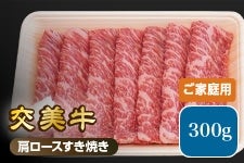 ���� ������i�����݁j�����[�X�����Ă� 300g�y���ƒ�p�z�i�Ⓚ�j