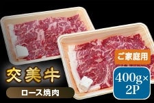 ���� ������i�����݁j���[�X�ē��p 800g�y���ƒ�p�z�i400g×2�p�b�N�j�i�Ⓚ�j