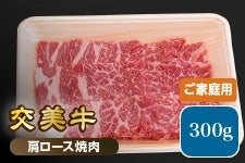 ���� ������i�����݁j�����[�X�ē��p 300g�y���ƒ�p�z�i�Ⓚ�j