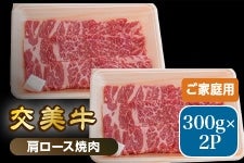 ���� ������i�����݁j�����[�X�ē��p 600g�y���ƒ�p�z�i300g×2�p�b�N�j�i�Ⓚ�j