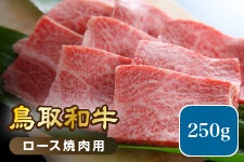 ����a�����[�X�ē��p�i�Ⓚ�j