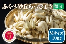 �y�������ԘA�g�z�ӂ��׍��u������傤�i���t�jM�T�C�Y10kg